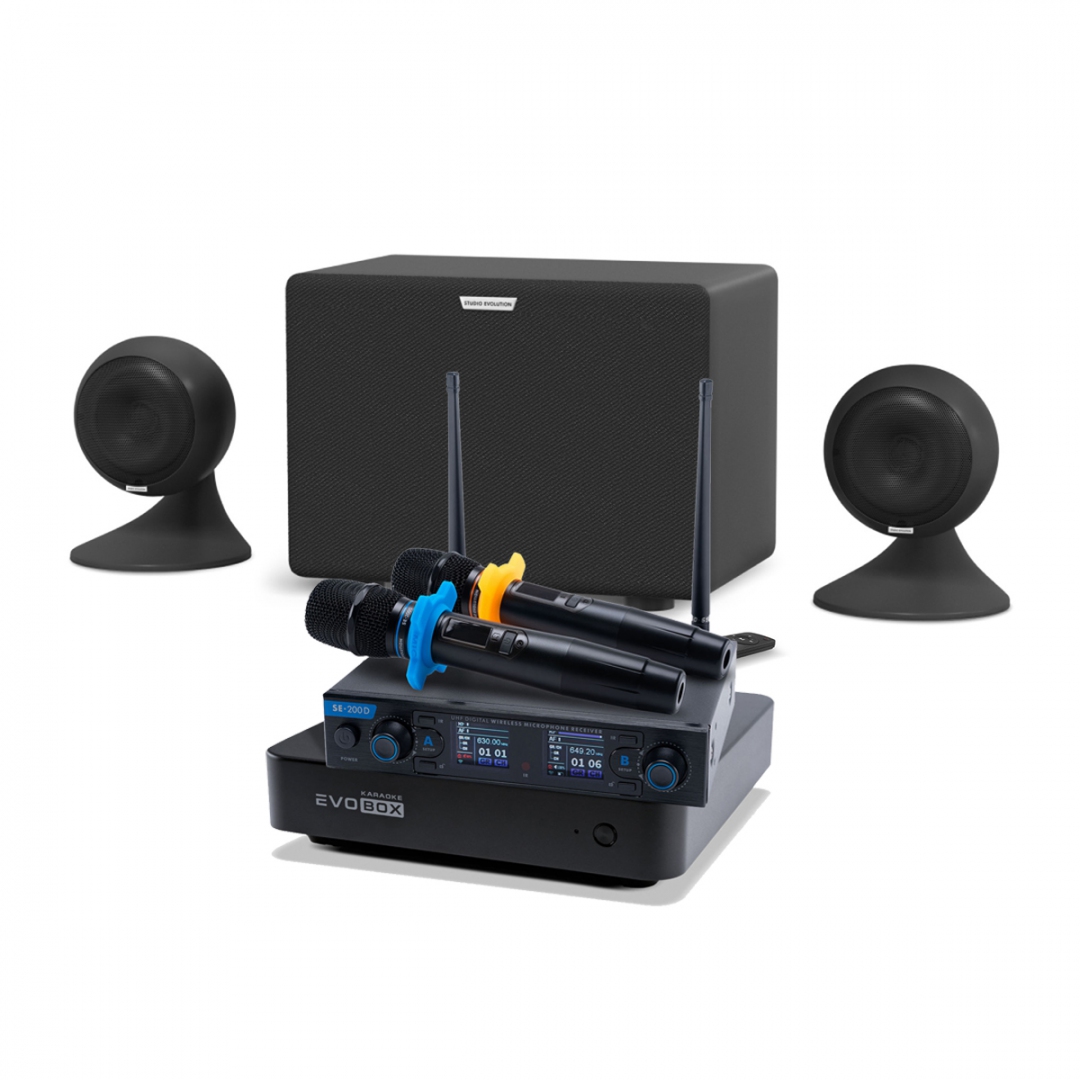 караоке-комплект EVOBOX + EvoSound Sphere 2.1 в Елабуге