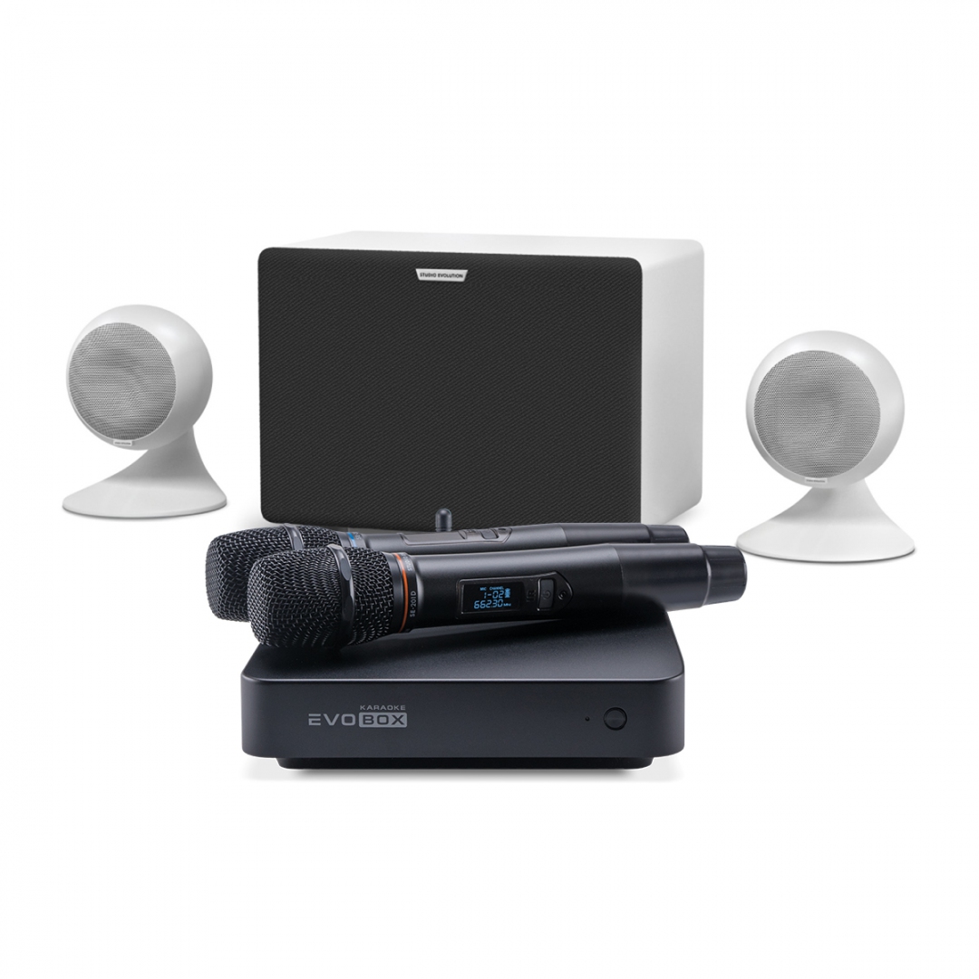 караоке-комплект EVOBOX Classic + EvoSound Sphere 2.1 в Елабуге