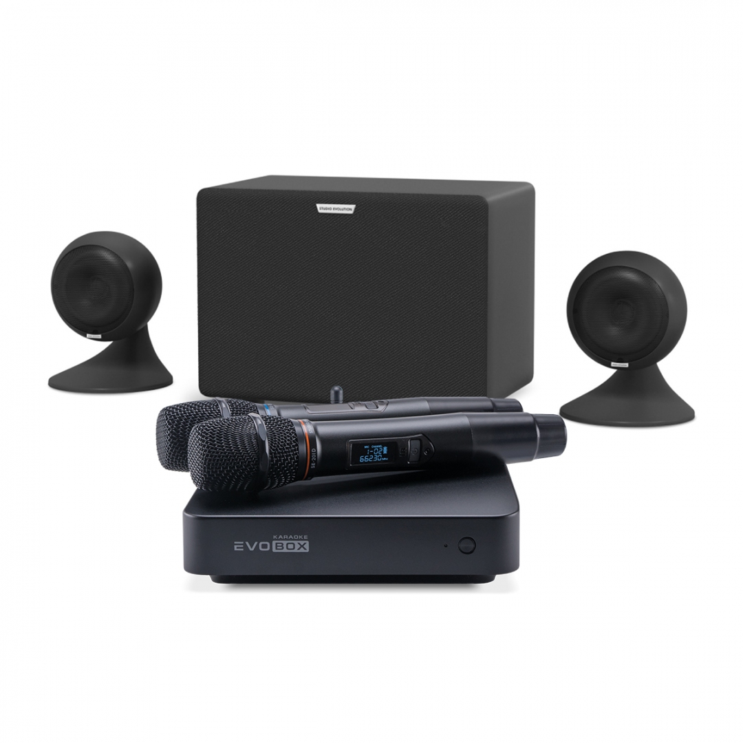 караоке-комплект EVOBOX Plus + EvoSound Sphere 2.1 в Елабуге