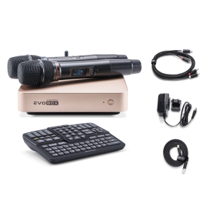 EVOBOX Classic караоке-система для дома в Елабуге