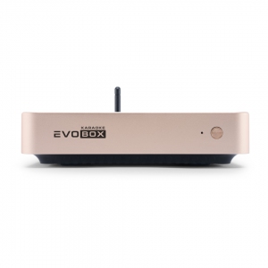 EVOBOX Plus караоке-система для дома в Елабуге