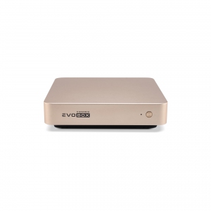 EVOBOX с микрофонами в Елабуге